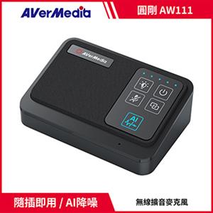 圓剛AVerMedia AW111 5.8GHz 一對二無線收音麥克風組