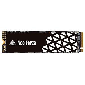 Neo Forza 凌航 NFP055 1TB  PCIe Gen3x4