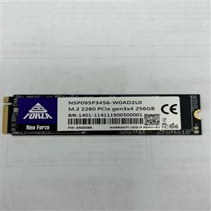 Neo Forza 凌航 NSP095 256GB PCIe Gen3x4 (專案)