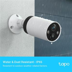 TP-LINK Tapo C420(US) 版本:1 智慧無線監控系統．攝影機