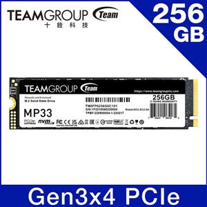 Team 十銓MP33 256GB M.2 PCIe 3.0 SSD 固態硬碟