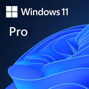 微軟Win Pro 11 64 - bit USB 英文盒裝版