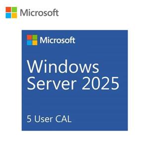 微軟Microsoft Windows Server 2025  5 User CAL 中文隨機版