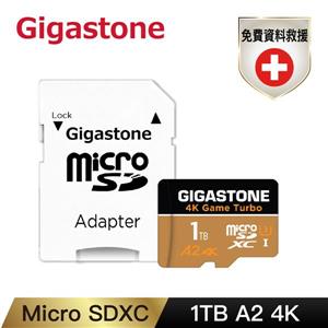 GIGASTONE MicroSDXC UHS-I U3 A2 4K 1TB記憶卡(五年資料救援)