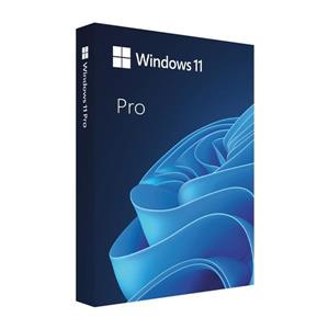 微軟Microsoft Win Pro 11 64-bit USB 英文盒裝版