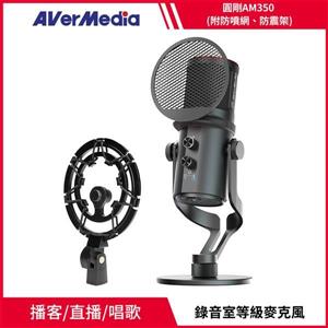 圓剛AVerMedia AM350 黑鳩電容式錄音室級麥克風套組【含防噴網+防震架】