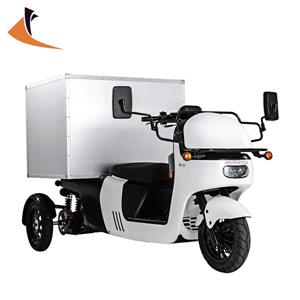 威速登金卡多(威剛電動車)-標準車廂